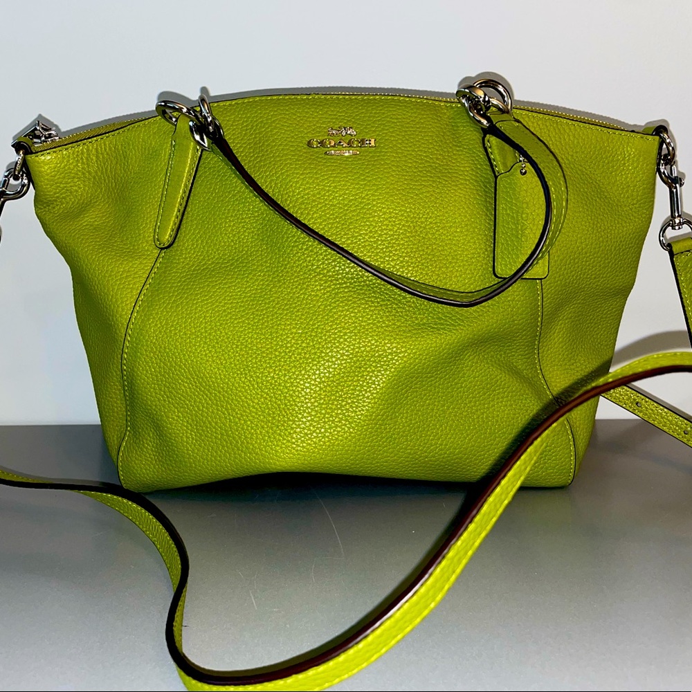 Pebble stone Green Coach Purse